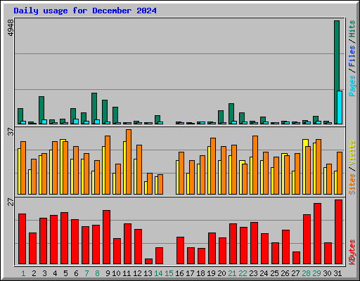 Daily usage for December 2024