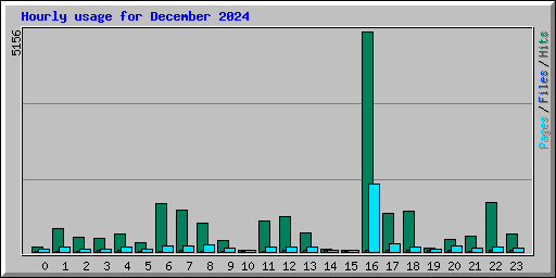 Hourly usage for December 2024