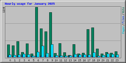 Hourly usage for January 2025