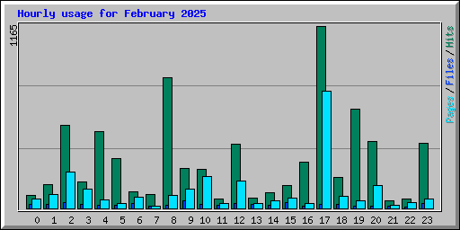 Hourly usage for February 2025